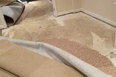 24x7 carpet repair service