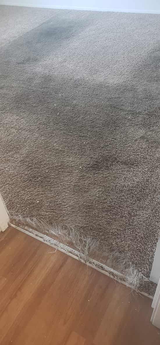 carpet repair inner west