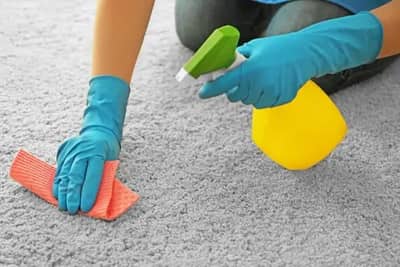 carpet-sanitizationl